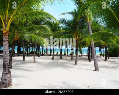 Vacanze in spiaggia e nell'oceano nell'Asia sudorientale, Vietnam, Phu Quoc #Asia #Vietnam #SouthEastAsia #slowtravel #paesaggi #loveasia Foto Stock