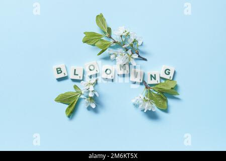 Scrabble piastrelle con fiore di primavera su sfondo blu. Foto Stock