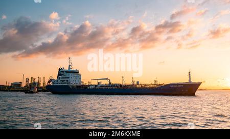 Rotterdam Paesi Bassi, terminal petroliferi e vettori chimici nel porto di Rotterdam Foto Stock