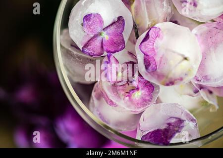Vetro con cubetti di ghiaccio di fiori Foto Stock