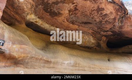 Pittura preistorica di roccia che mostra il cavallo di galopping e un elefante, la protezione di roccia di Bhimbetka, luogo dell'eredità di mondo, Raisen, Madhya Pradesh, India. Foto Stock