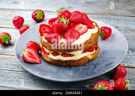 Tiramisù panettone tradizionale italiano arrosto con crema alla vaniglia e fragole servite come primo piano in un piatto di design Foto Stock