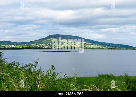 Vista della riserva di Wildfowl di Inch Levels su Lough Swilly Foto Stock