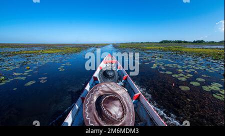 Navigando nel lago, dirigendosi dritto in avanti, navigando nello stagno con acqua bollente, sole del pomeriggio, il cielo è blu scuro. Foto Stock