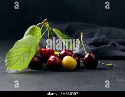 Ciliegie rosse e gialle mature su sfondo nero. Bacche estive Foto Stock