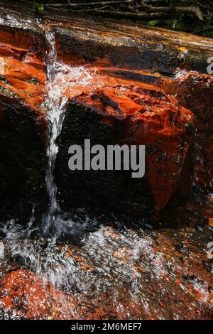 Acqua che scorre sul letto rosso del fiume jasper a Quebrada de Jaspe, Jasper Creek, Gran Sabana, Venezuela Foto Stock