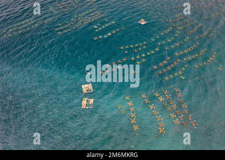 Navi e pescatori stanno pescando le acciughe nell'isola di Yen, Phu Yen, Vietnam Foto Stock