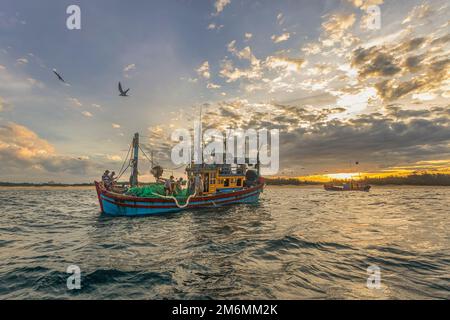 Navi e pescatori stanno pescando le acciughe nell'isola di Yen, Phu Yen, Vietnam Foto Stock