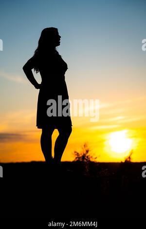 Uno scatto verticale di una silhouette di una donna sullo sfondo di un bellissimo tramonto calmo Foto Stock