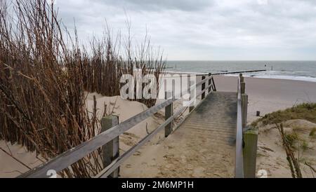 Duna di sabbia con erbe e jetties a westkapelle, walcheren, paesi bassi, in inverno Foto Stock