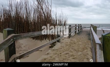 Duna di sabbia con erbe e jetties a westkapelle, walcheren, paesi bassi, in inverno Foto Stock