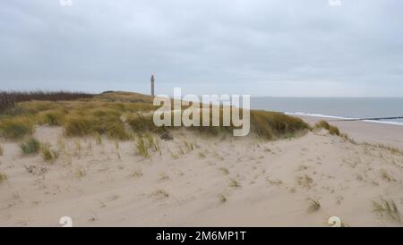 Duna di sabbia con erbe e jetties a westkapelle, walcheren, paesi bassi, in inverno Foto Stock