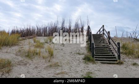 Duna di sabbia con erbe e jetties a westkapelle, walcheren, paesi bassi, in inverno Foto Stock