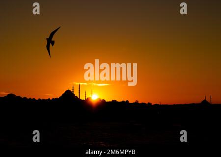 Moschea Suleymaniye e gabbiano al tramonto. Profilo di Istanbul. Foto di sfondo islamica o ramadan. Foto Stock