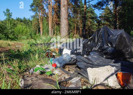 Discarica nella foresta, cumulo di rifiuti domestici, inquinamento delle foreste Foto Stock