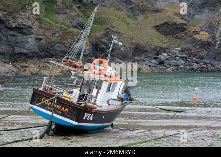 PORT ISAAC, CORNOVAGLIA, Regno Unito - AGOSTO 13 : Barca da pesca a Port Isaac in Cornovaglia il 13 Agosto 2013 Foto Stock