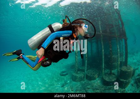 Ragazza di 9 anni diving in jetty, sito di immersione Post 1, Isola di Menjangan, Buleleng, Bali, Indonesia Foto Stock