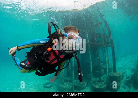 Ragazza di 9 anni diving in jetty, sito di immersione Post 1, Isola di Menjangan, Buleleng, Bali, Indonesia Foto Stock