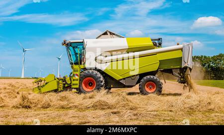 Trattore a terra, trattore della macchina da raccolta che lavora sul campo. Mietitrebbia Foto Stock