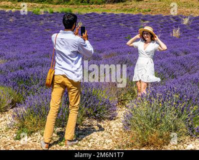 Francia. Provenza. Vaucluse (84) Plateau de Sault, capitale della lavanda. Durante la fioritura, i turisti sono abituati ad essere fotografati nei campi, il CH Foto Stock