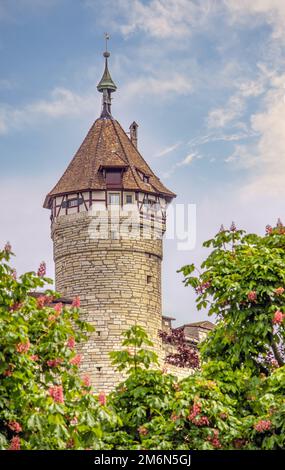 Torre della fortezza medievale Munot, Sciaffusa Foto Stock