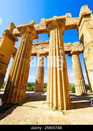 Il Tempio dorico di Hera (Tempio e) (5th sec. a.C.) - Parco Archeologico di Selinunte - Sicilia, Italia Foto Stock