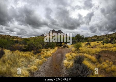 Vista panoramica della Tonto National Forest, Arizona Foto Stock