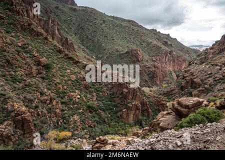 Vista panoramica della Tonto National Forest, Arizona Foto Stock