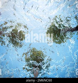 Vista da sotto l'acqua sulle sagome degli alberi e del cielo. Rendering 3D Foto Stock