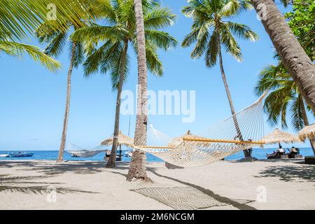 Amaca con palme in un cielo blu all'isola caraibica di Santa Lucia Foto Stock