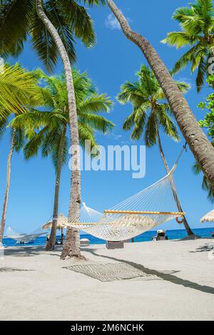 Amaca con palme in un cielo blu all'isola caraibica di Santa Lucia Foto Stock