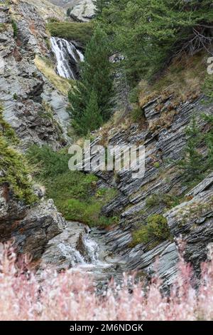 La cascata alpina di Lillaz (Cascate di Lillaz) si snoda lungo una gola di granito ricoperta di foresta verde e arbusti, inaspettate orecchie rosa di erba Foto Stock