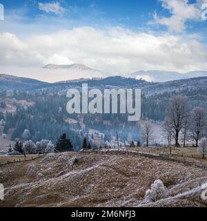 Inverno in arrivo. Pittoresca nebbia e scena moody mattina in fine autunno montagna campagna con hoarfrost su erbe, alberi, s Foto Stock