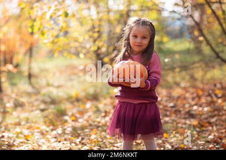 Carina bambina nel parco autunnale con foglie di colore arancio e zucca gialla. Foto Stock