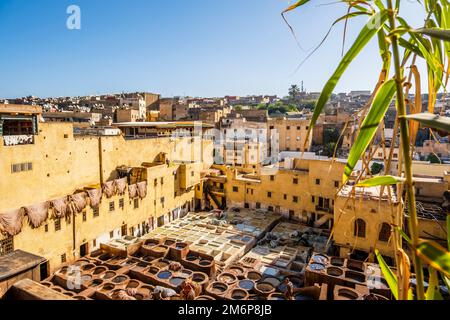 Famosa conceria della pelle a Fes, Marocco, Nord Africa Foto Stock