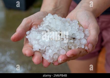 Donna mani che tiene le pietre della grandine nel giardino dopo la tempesta in estate. Foto Stock