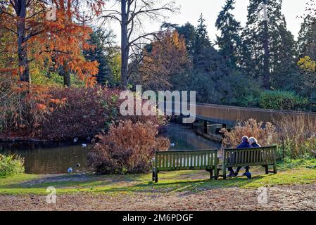 Il Lake Crossing, precedentemente conosciuto come il Sackler Bridge nei Royal Botanical Gardens a Kew in un giorno soleggiato inverni Greater London Inghilterra Regno Unito Foto Stock