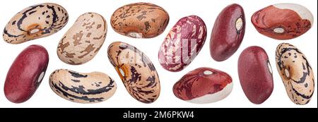 Raccolta di fagioli renali, diversi tipi di legumi isolati su sfondo bianco Foto Stock