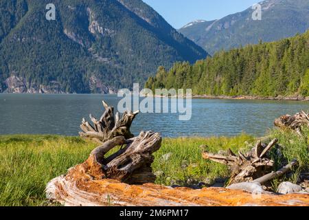 Bella Coola Foto Stock