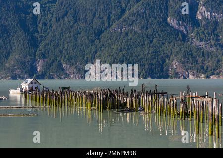 Bella Coola Foto Stock