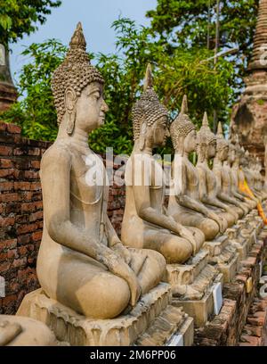 Ayutthaya, Thailandia Wat Yai Chaimongkol Foto Stock