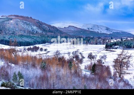 Braemar Scotland Linn of Dee guardando attraverso la valle coperta di neve con larici e betulle in inverno Foto Stock