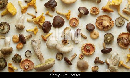 Vari tipi di funghi crudi assortiti pronti ad asciugare Foto Stock