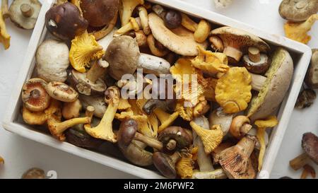 Vista superiore di vari funghi selvatici raccolti in una scatola di legno Foto Stock