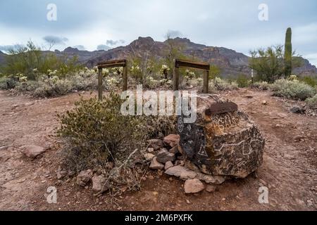 Una scheda descrittiva per il percorso a Gold Canyon, Arizona Foto Stock