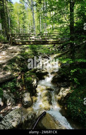 Rehbachklamm vicino Scheffau a Wilder Kaiser, Austria Foto Stock