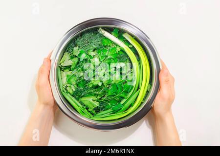 Le mani della donna tengono ciotola con insalata verde. Prezzemolo, aneto, coriandolo, cipolla verde in una terrina con acqua su fondo bianco. Verde fresco locale. Foto Stock