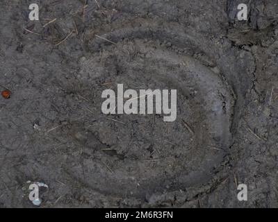 footprint di cavallo nel fango Foto Stock