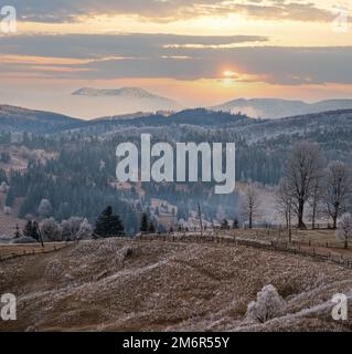 Inverno in arrivo. Pittoresca nebbia e scena moody mattina in fine autunno montagna campagna con hoarfrost su erbe, alberi, s Foto Stock