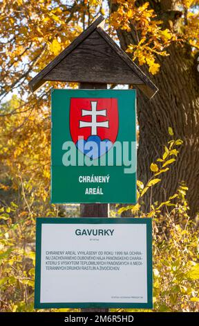 Gavurky, Dobra niva, Slovacchia - 24 ottobre 2021 : Gavurky Pannonian Grove. Un vecchio boschetto di querce. Il sito è un'area protetta di E. Foto Stock